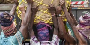 Who Are the Parasites in India? -Christophe Jaffrelot